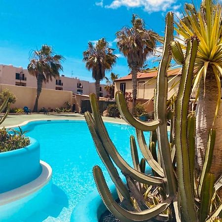 Surf And Chill Bungalow 70 Leilighet Parque Holandes Eksteriør bilde