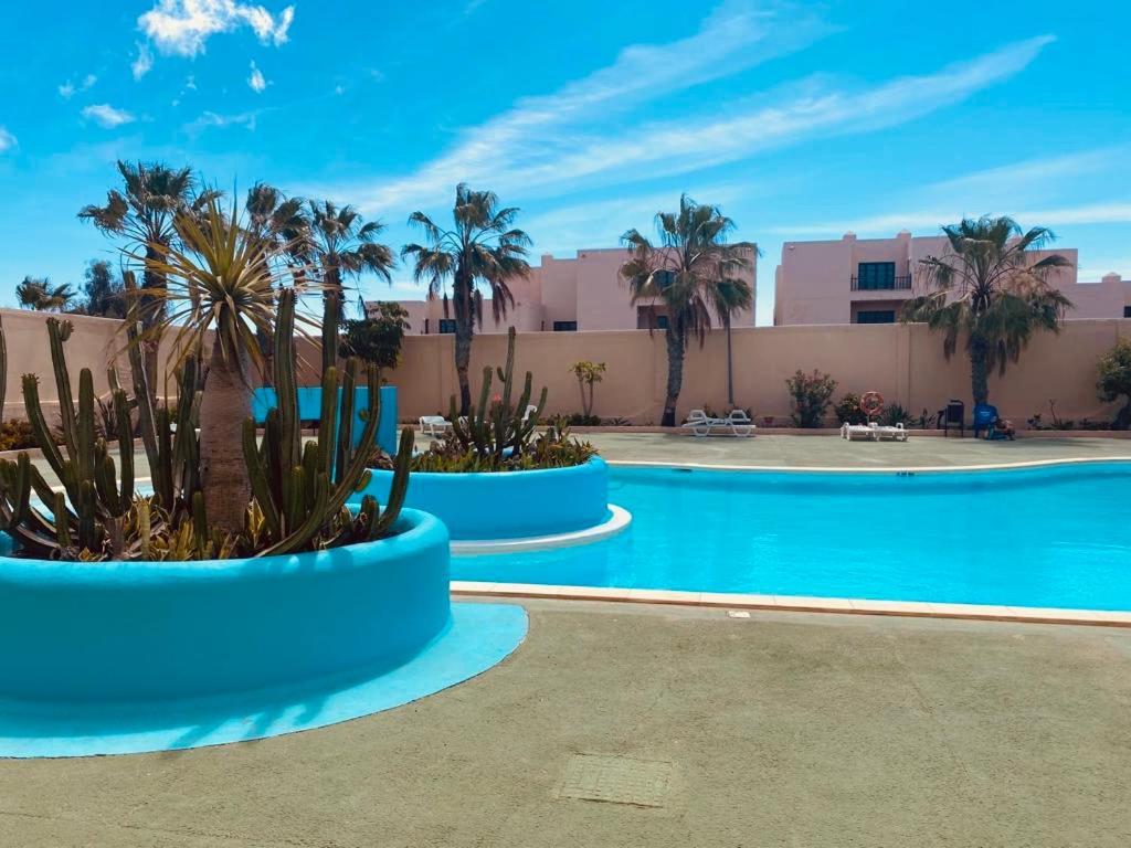 Surf And Chill Bungalow 70 Leilighet Parque Holandes Eksteriør bilde
